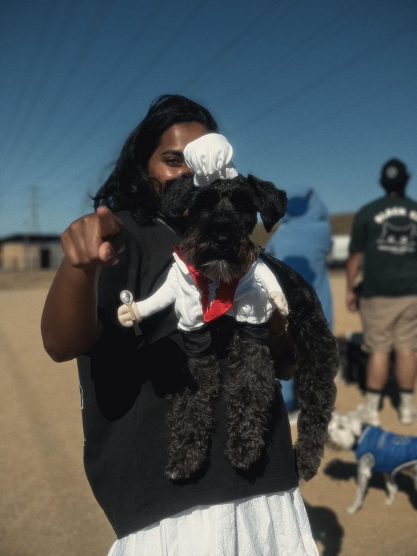 Foggy, a small black dog wearing a white bow, held up outdoors